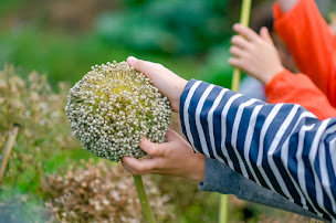 Photo n°29 de La Ferme de Paris à Paris (Ferme bio)