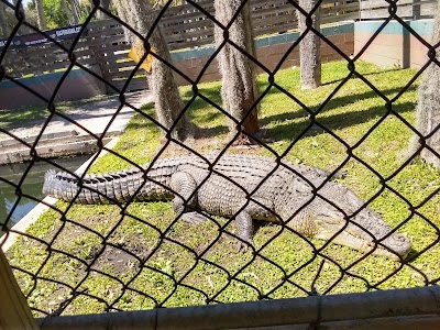 Gatorama Inc.