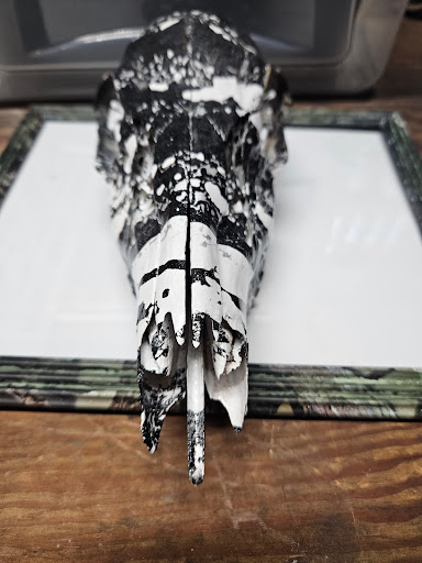 M's Hydrographic - Visual