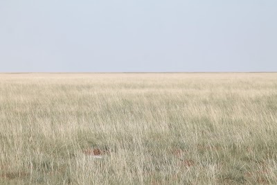 Photos of King Nehale Gate