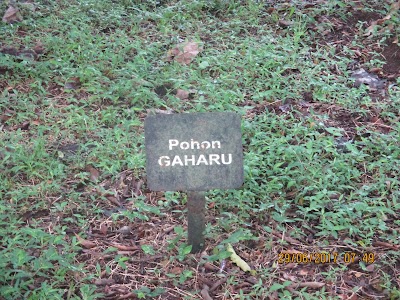 Photos of Hutan Kota Wasesa