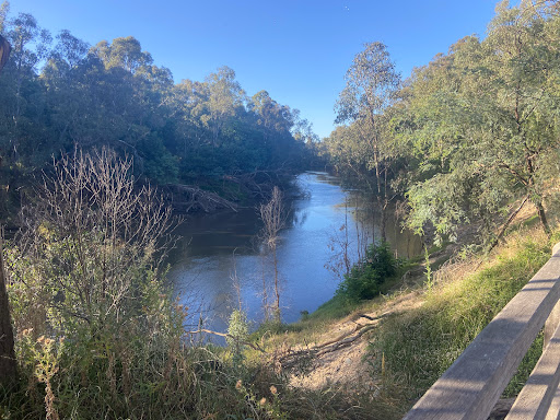 Cudgee Park - Visual