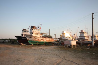 Port İğneada