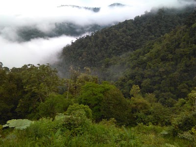 Photos of Monte Cavernas Costa Rica