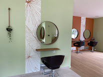 Salon Delphine V à Agen