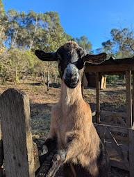 Photo n°6 de La cabane des pachous à Tourves (Chambre d'hôtes)