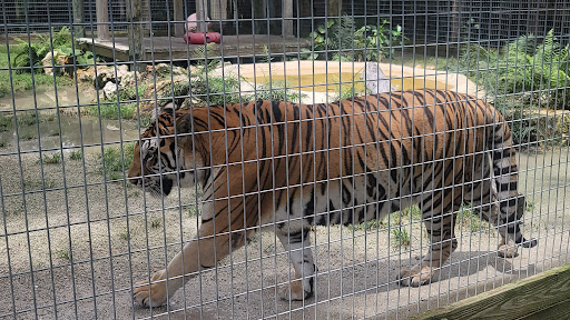 McCarthy's Wildlife Sanctuary - Thumbnail