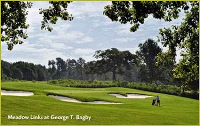 Photos of Meadow Links