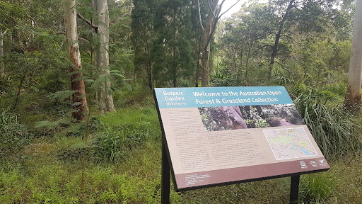 Australian Open Forest and Grassland - Thumbnail