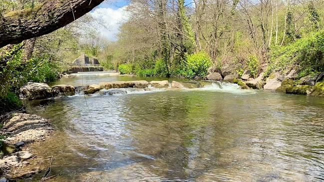 Reviews of Ogmore River in Bridgend - School