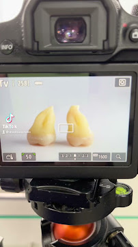 DENTAL C&S