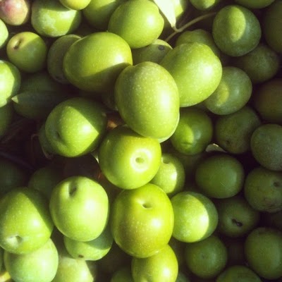 Photos of BALIJA, Premium Extra Virgin Olive Oil