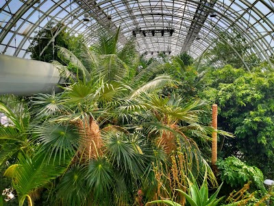 Myriad Botanical Gardens