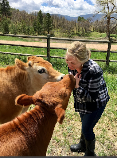 The Random Ranch - Thumbnail