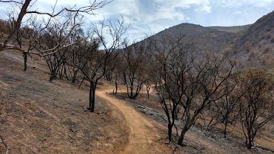 Photos of Ruta Lo Prado 01