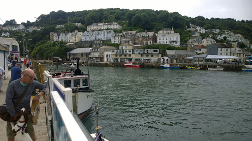 Luxstowe Vets, Looe Logo