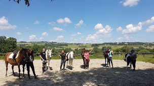 Photo n°4 de HARAS DE CHEVAL EVASION à Saint-Ondras (Centre équestre)