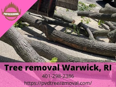 Does home insurance cover tree removal Warwick, RI