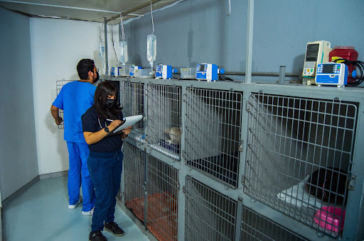 Centro Veterinario Integral Lagos