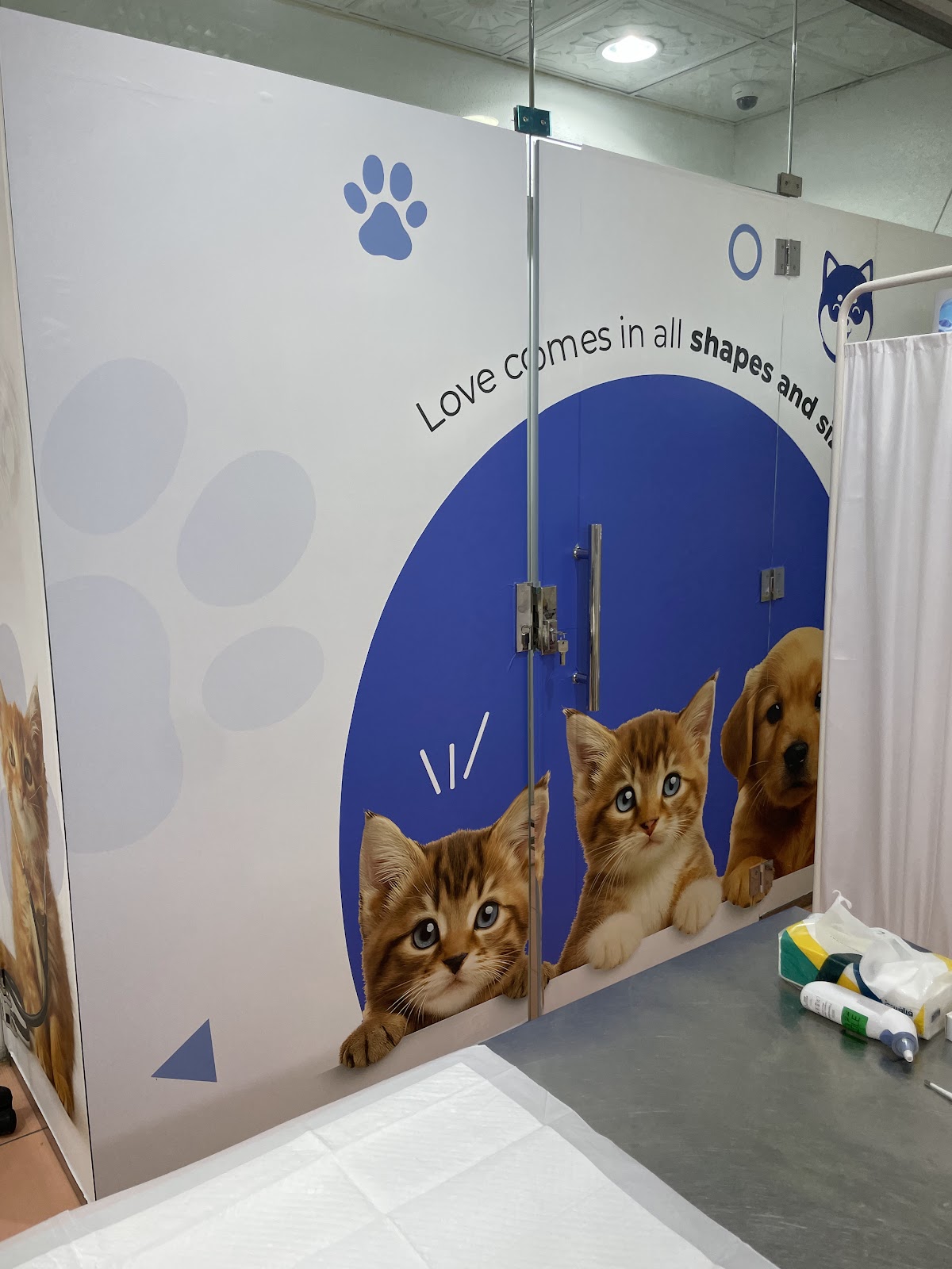 عيادة عائشة البيطرية - صورة 2