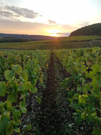 Champagne Olivier et Bertrand à Merrey-sur-Arce