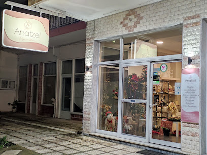 Anatzel - Days In Bloom