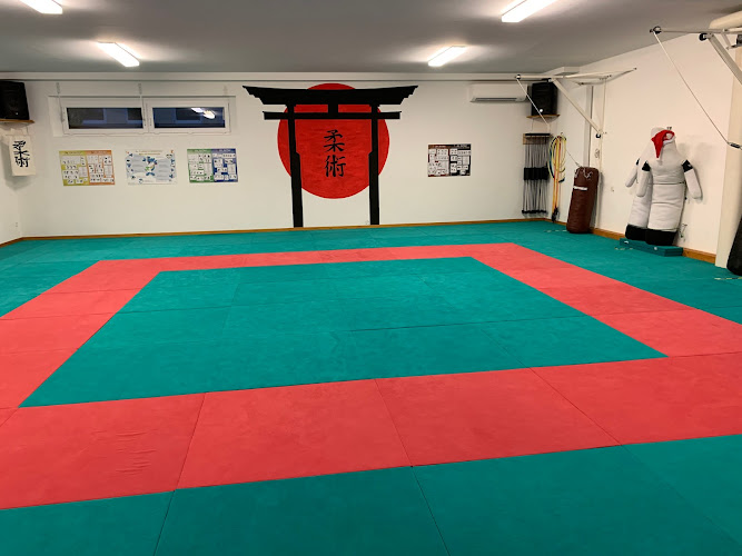 Dojo Ju-Jutsu Abteilung PSV Konstanz e.V. photo