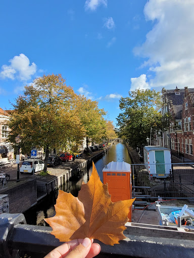Het Huys Haerlem - Thumbnail