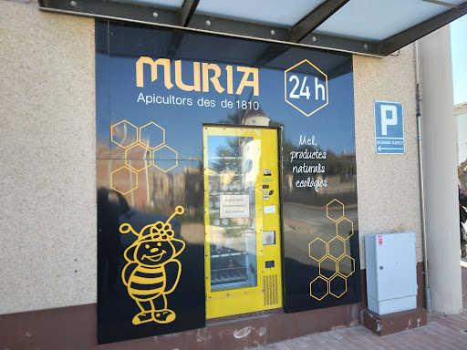 Mel Muria - Thumbnail