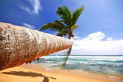 Photos of New Exotic Beach Hotel