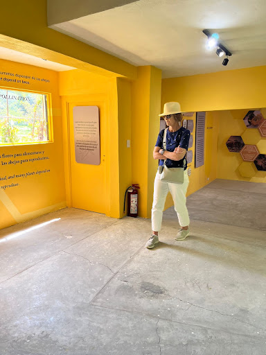 Museo De Miel