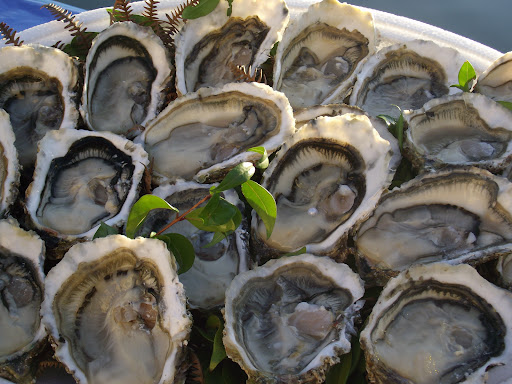Photo 1 - Restaurant Aux Coquillages de Diana