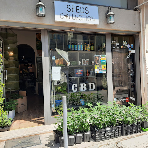 Seeds Collection - Visual