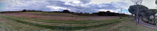 Parc de l'Orée du Bois - Thumbnail