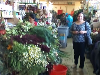 Photos of Museo del Sombrero de Paja Toquilla