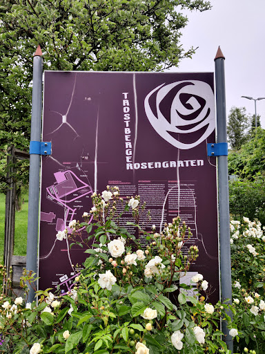 Rosengarten Am Schloß