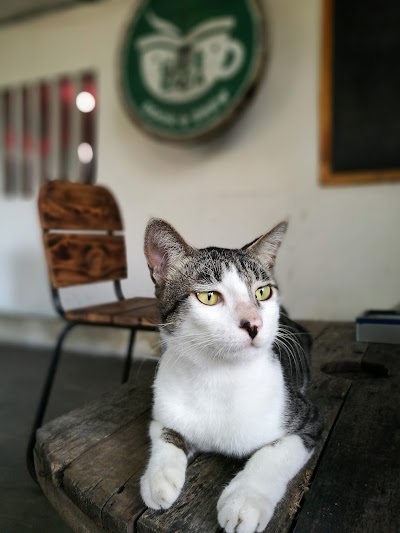 Photos of Cafe Baca