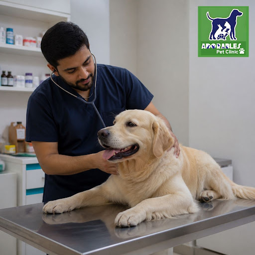 At Adorables Pet Clinic, we believe every pet deserves the best medical care without putting pres… post image