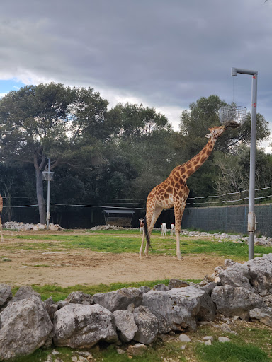 Entrée - ParcZoologique (Plaisance du Touch) - Thumbnail