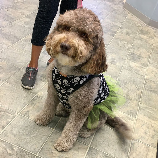 Bayside Animal Hospital | Kemah, TX - Thumbnail