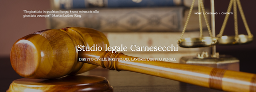 Avvocato Annalisa Carnesecchi Pisa