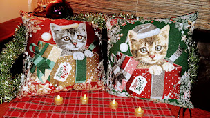 Photo n°1 de Suivez le fil d'Agatha - Valérie Leriche à Langeron (Cours de couture)