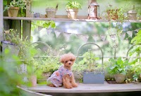 ペットシッターるる