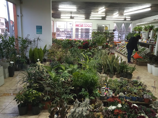 Vivero los chañares - Foto 1