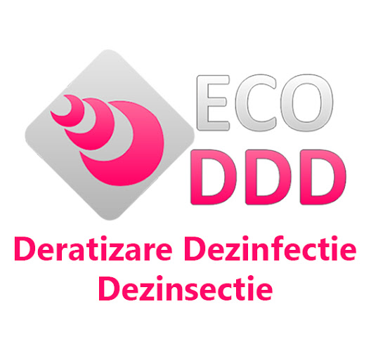 Eco DDD Grindasi - Servicii de deratizare