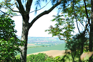Photo n°7 de Chambres d'Hôtes Domaine d'Elendil à Escazeaux (Chambre d'hôtes)