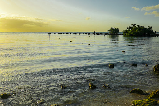 Playa Ostiones Gallery - United States