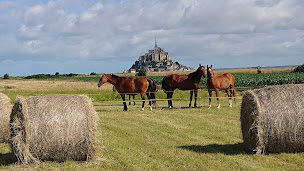 Photo n°13 de Cheval Plaisir Mont Saint Michel à Pontorson (Club d'équitation)