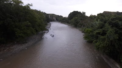 Photos of Olijai