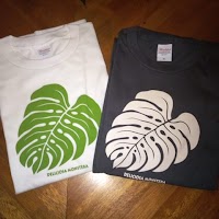 カフェバーモンステラ